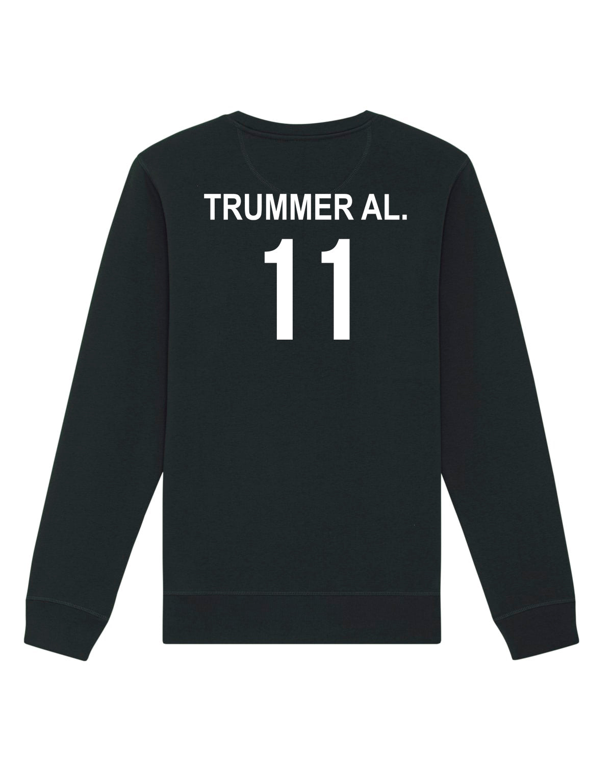 Pullover Regular Hashtag-Volleyball | Alexander Trummer Al. | Volleyballakademie Graz