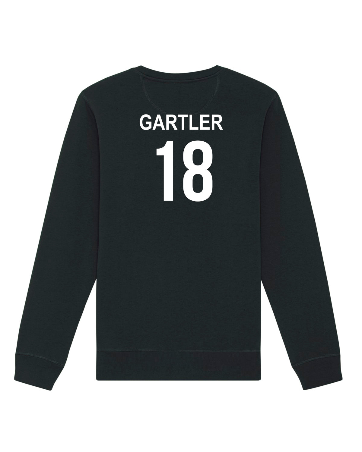 Pullover Regular Logo | Jakob Gartler | Volleyballakademie Graz