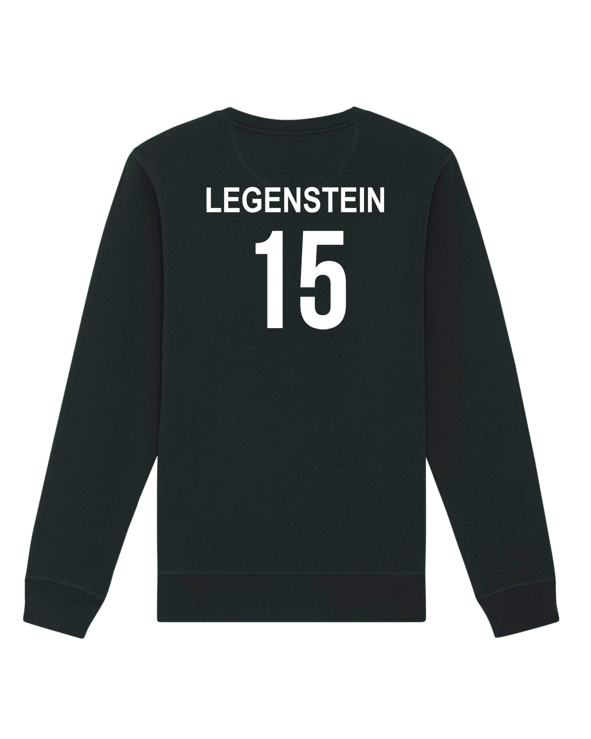 Pullover Regular Logo | Johanna Legenstein | Volleyballakademie Graz