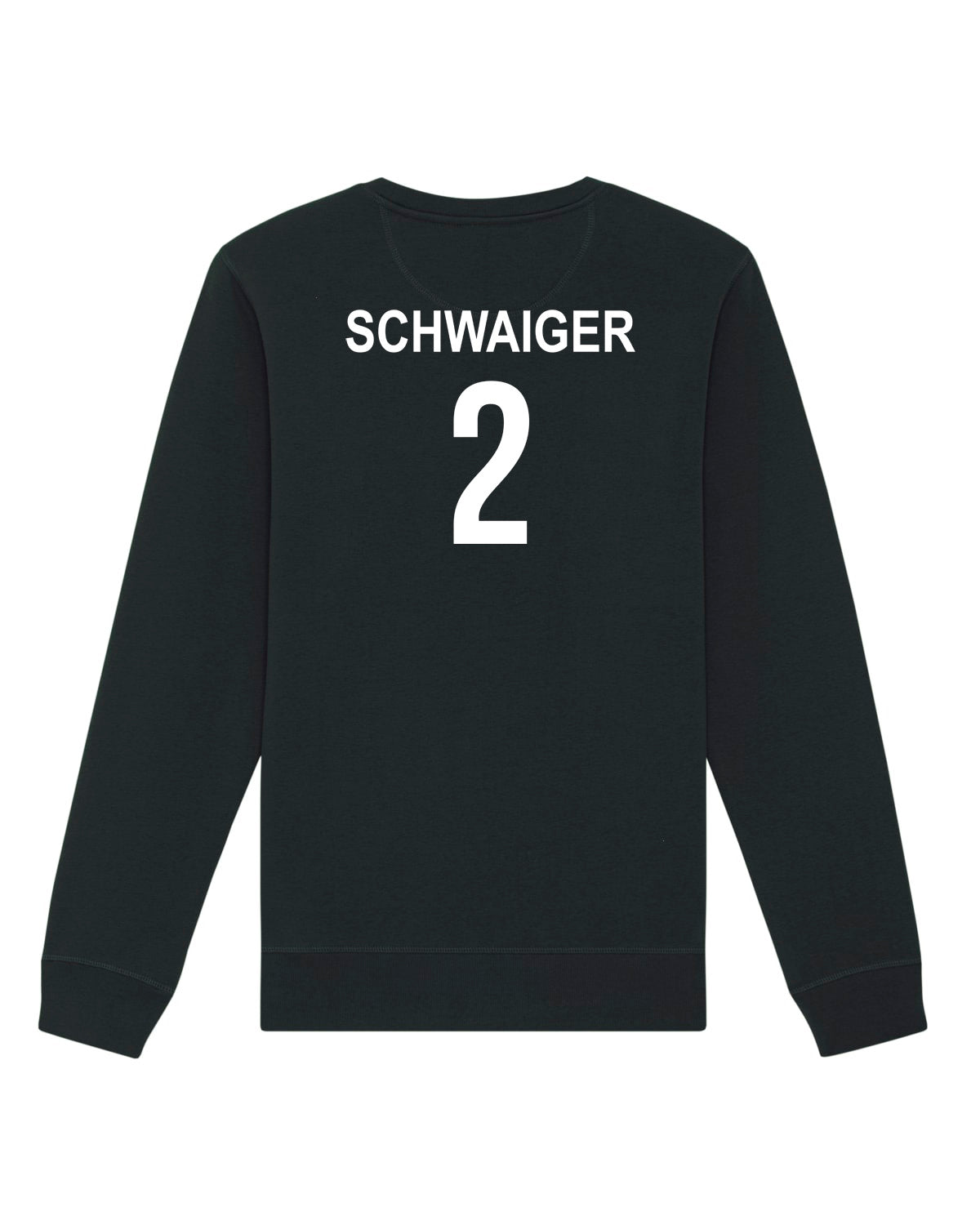 Pullover Regular Logo | Jonas Schwaiger | Volleyballakademie Graz