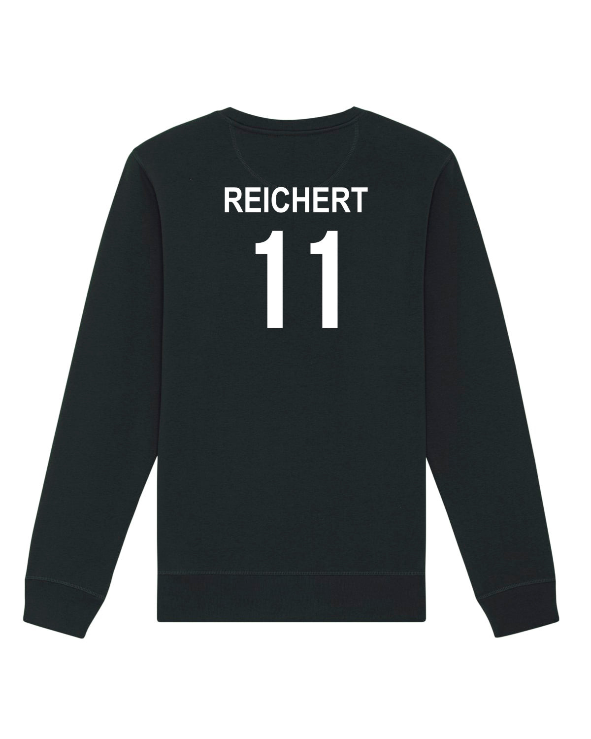 Pullover Regular Logo | Mika Reichert | Volleyballakademie Graz