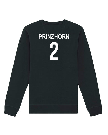 Pullover Regular Logo | Nike Prinzhorn | Volleyballakademie Graz