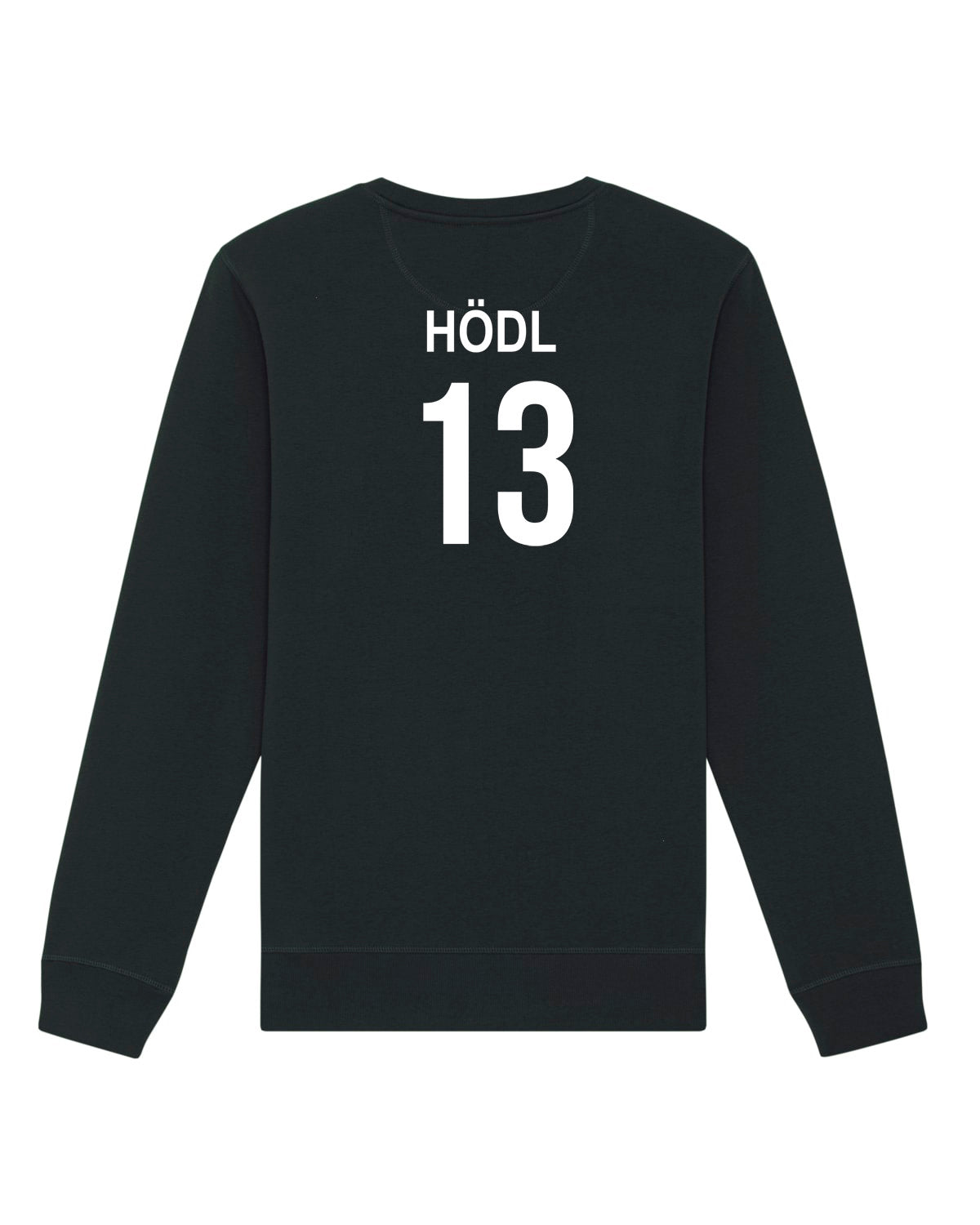 Pullover Regular Logo | Paul Hödl | Volleyballakademie Graz