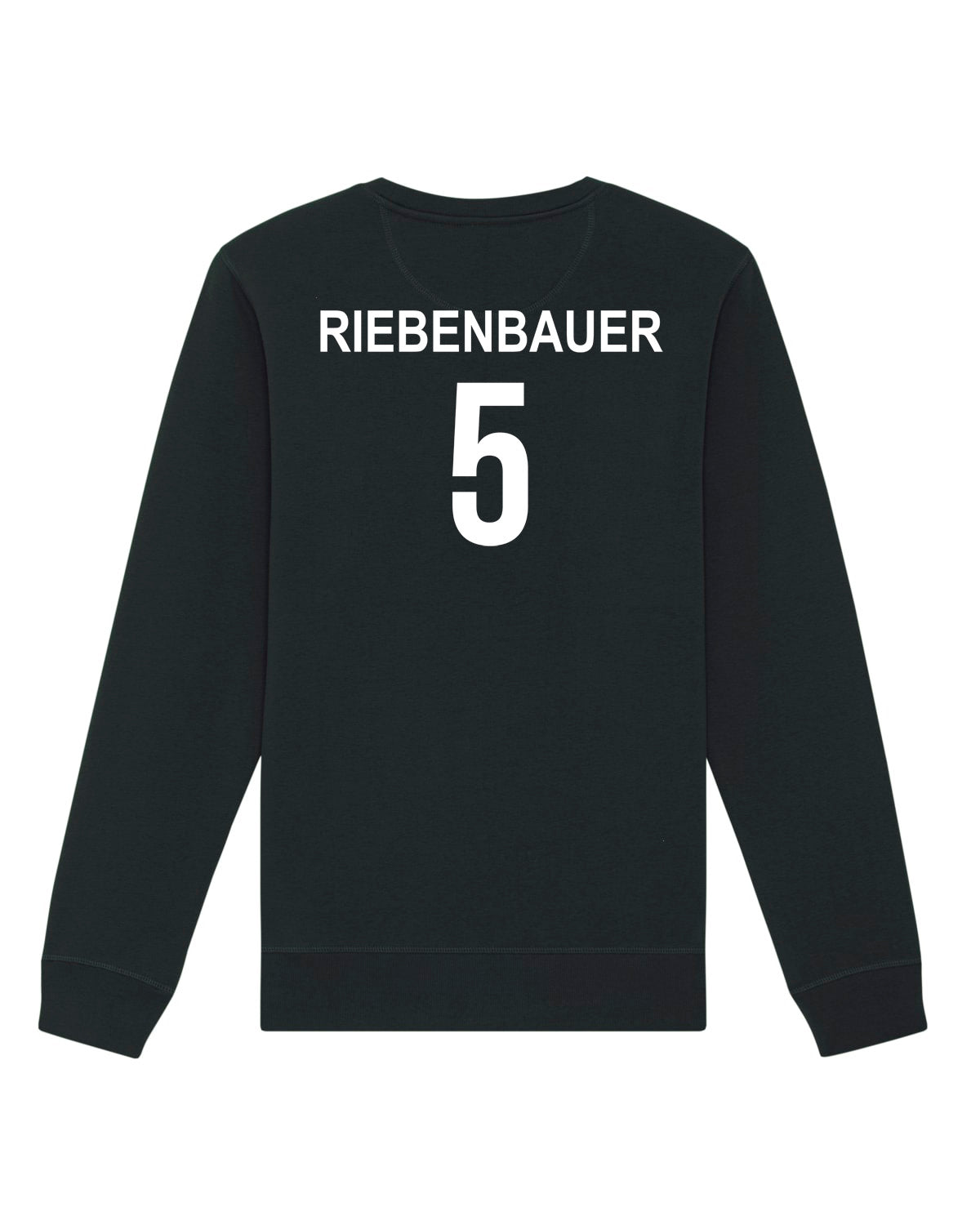 Pullover Regular Logo | Sarah Riebenbauer | Volleyballakademie Graz