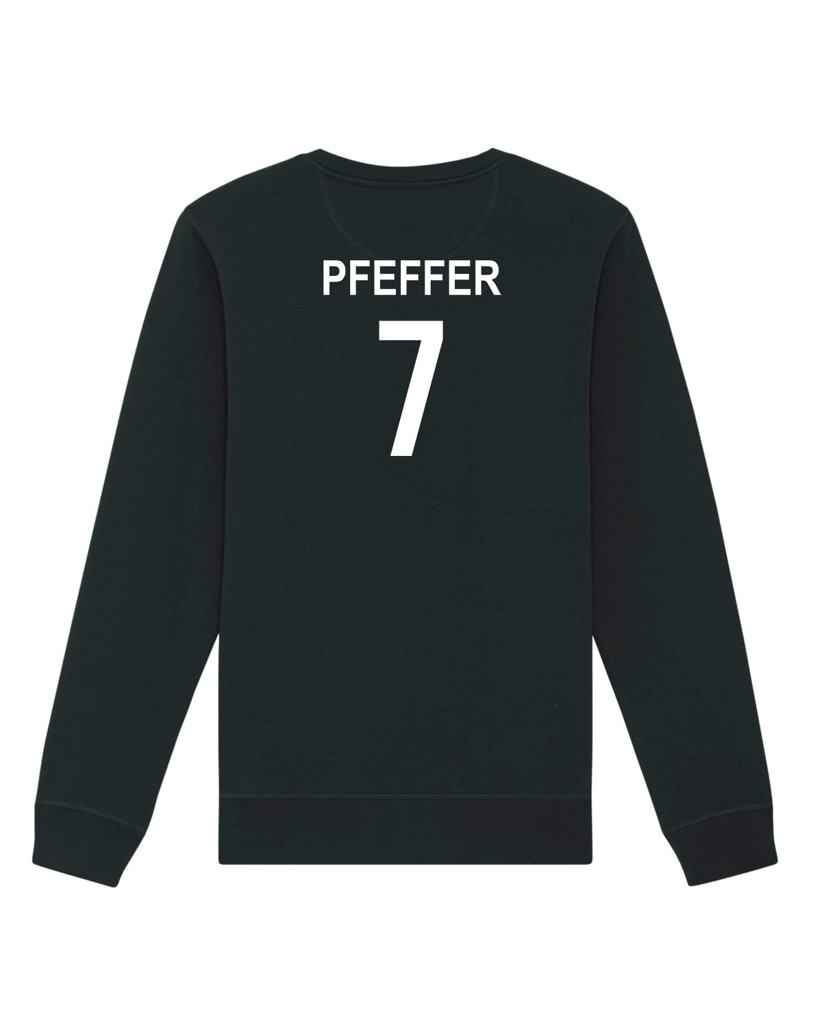 Pullover Regular Logo | Sebastian Pfeffer | Volleyballakademie Graz