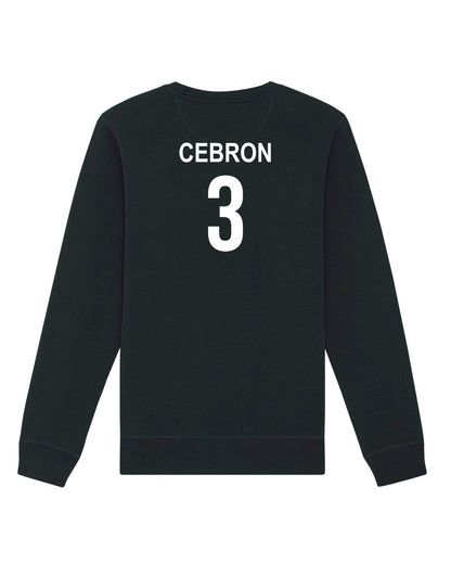 Pullover Regular Logo | Tian Cebron | Volleyballakademie Graz