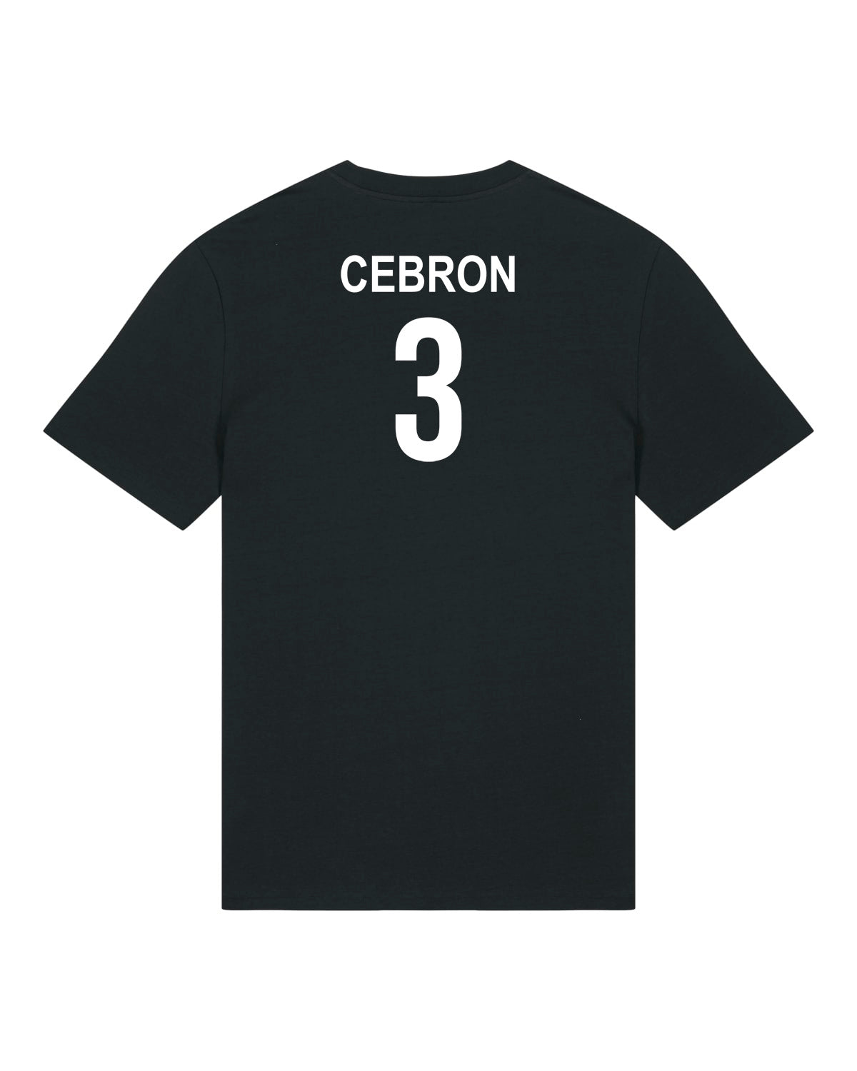 T-Shirt Regular Love-Volleyball | Tian Cebron | Volleyballakademie Graz