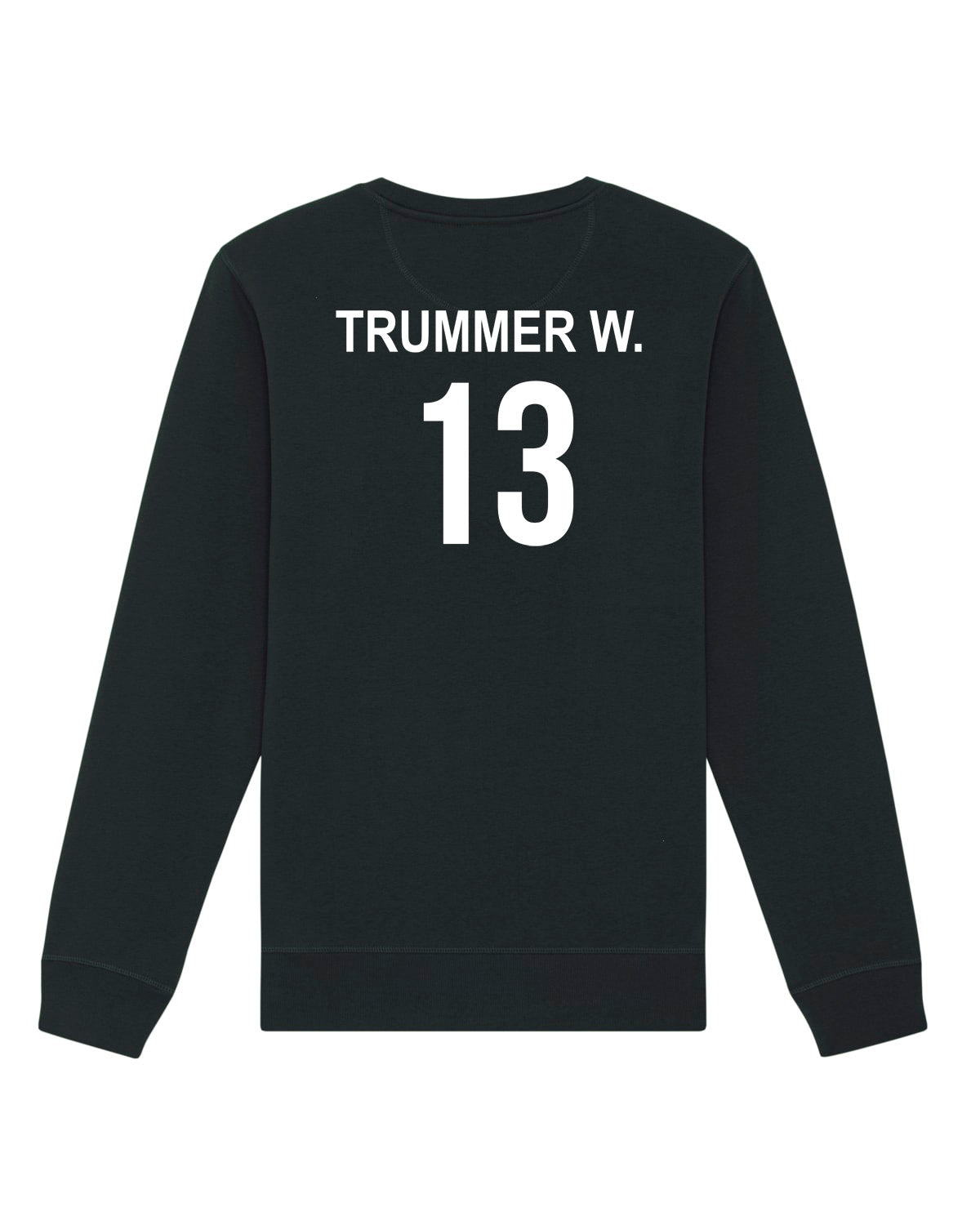 Pullover Regular Logo | Wendelin Trummer W. | Volleyballakademie Graz